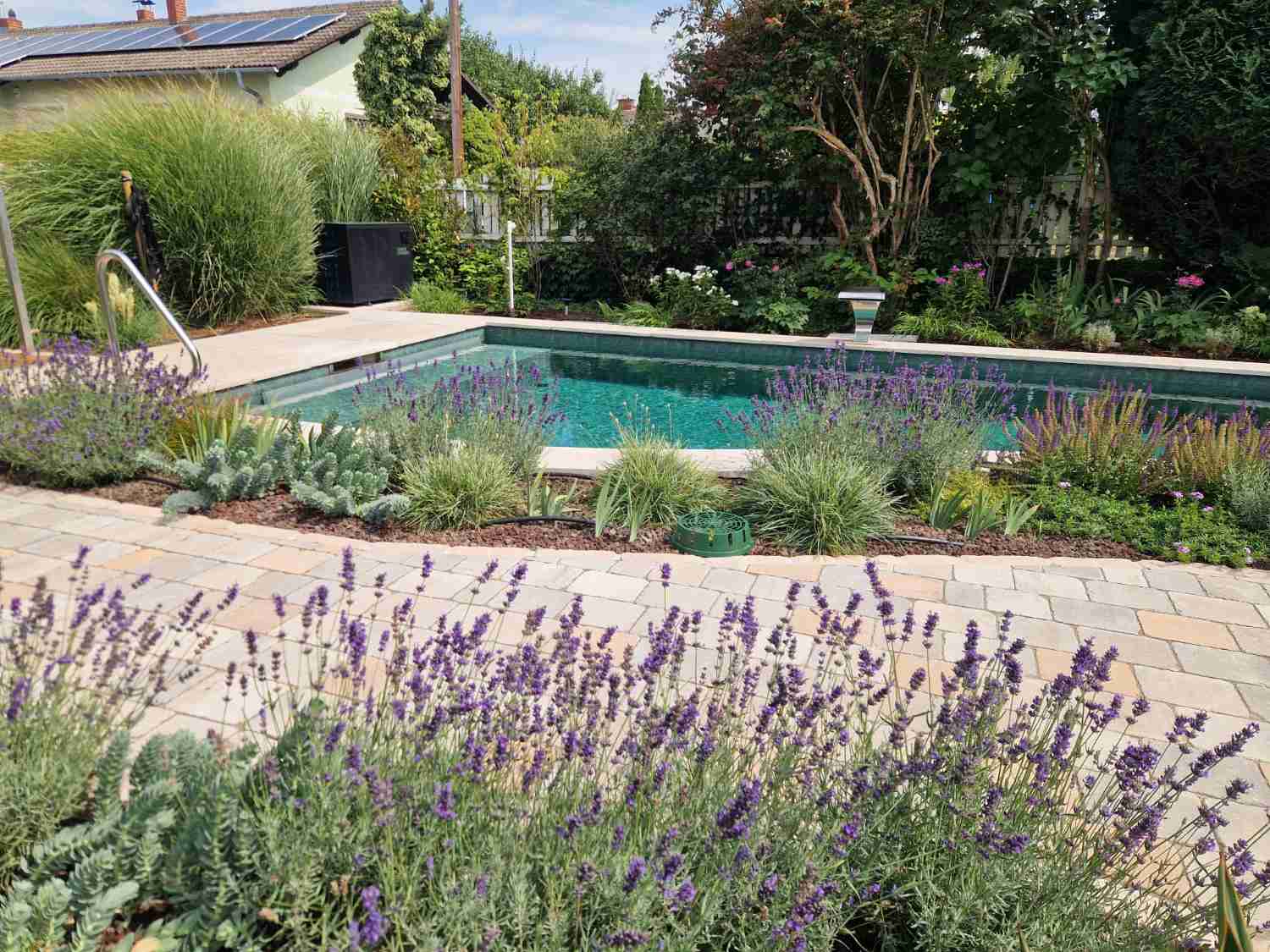 Pool mit Lavendelbeet und Natursteinterrasse in Gerasdorf
