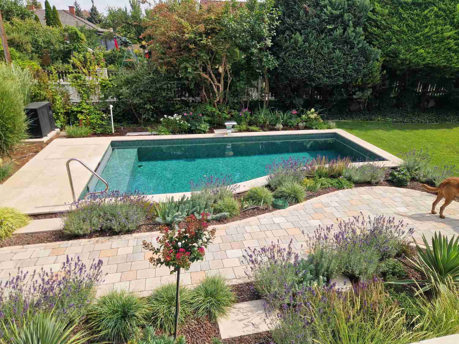 Poolterrasse mit Naturstein-Umrandung und gepflegtem Garten in Gerasdorf