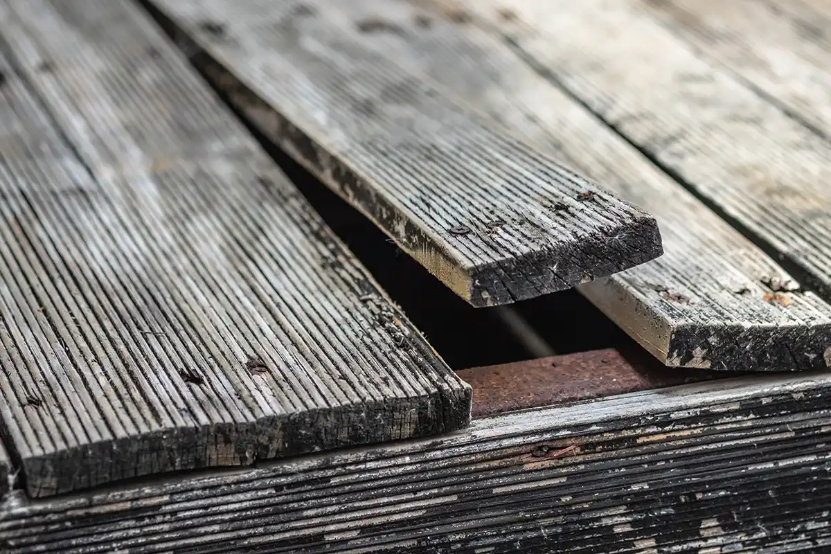 sgd - Schadensbegutachtung und Diagnose Detailaufnahme eines Holzbretts mit einer deutlich sichtbaren Deformation